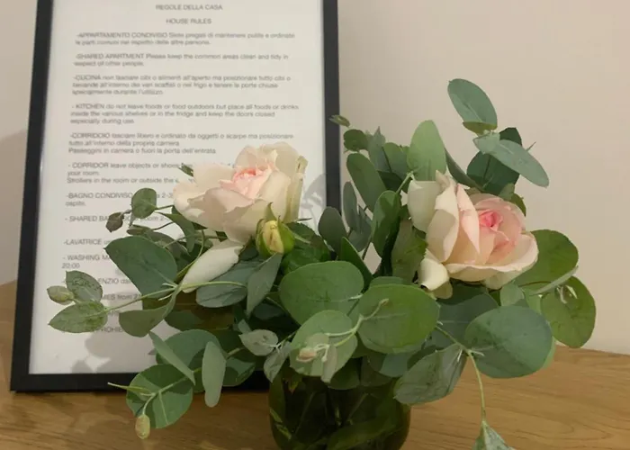 Alexander House 招待所 *